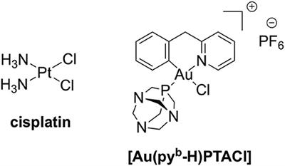 Relevance of Copper and Organic Cation Transporters in the Activity and Transport Mechanisms of an Anticancer Cyclometallated Gold(III) Compound in Comparison to Cisplatin